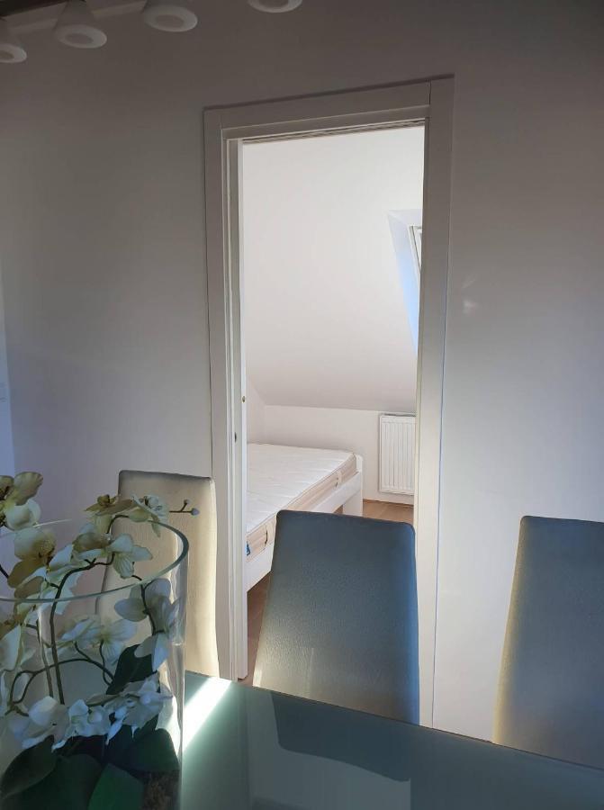 Golob Apartment 크라니스카고라 외부 사진